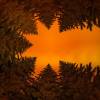 /v_images/v_thumbnail/Weihnachten_Komet.jpg