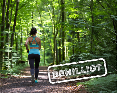 /v_images/web/Bewilligung_Aktivpfad_Mutschachwald_News_LAG_480x380px.png