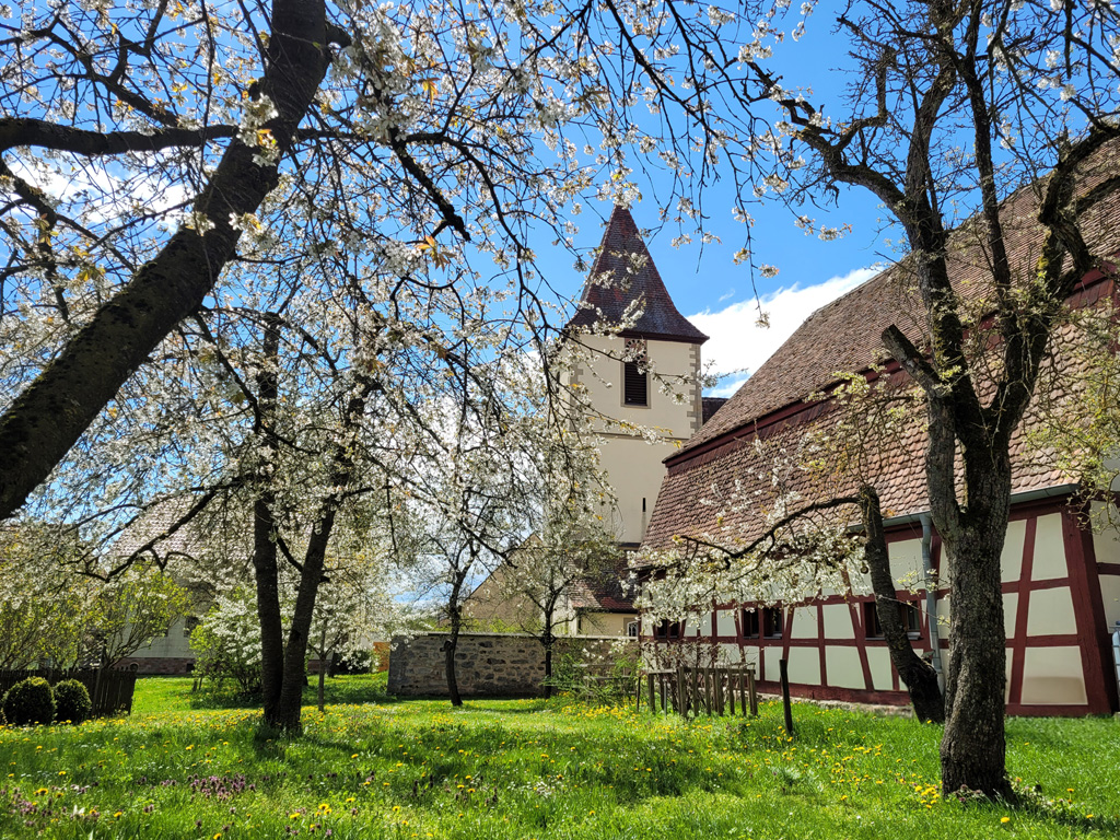 Eines der vielen Kulturgüter aus Stein in unserer Region: Die St. Martinskirche in Wörnitz © LAG Region an der Romantischen Straße e. V.