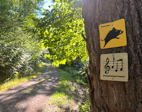 Gut ausgeschildert: Einfach dem Wildschwein folgen © LAG Region an der Romantischen Straße e. V.