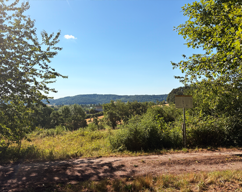 Ein Liedchen bei schöner Aussicht trällern: Der LEADER-Liederwanderweg macht es möglich © LAG Region an der Romantischen Straße e. V.