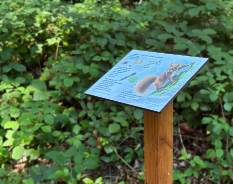 Schilder informieren entlang des Weges über Flora & Fauna © LAG Region an der Romantischen Straße e. V.