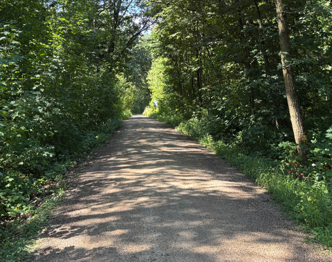 Ein vorhandener Waldweg wurde für die Streckenführung des Naturlehrpfads ausgewählt © LAG Region an der Romantischen Straße e. V.