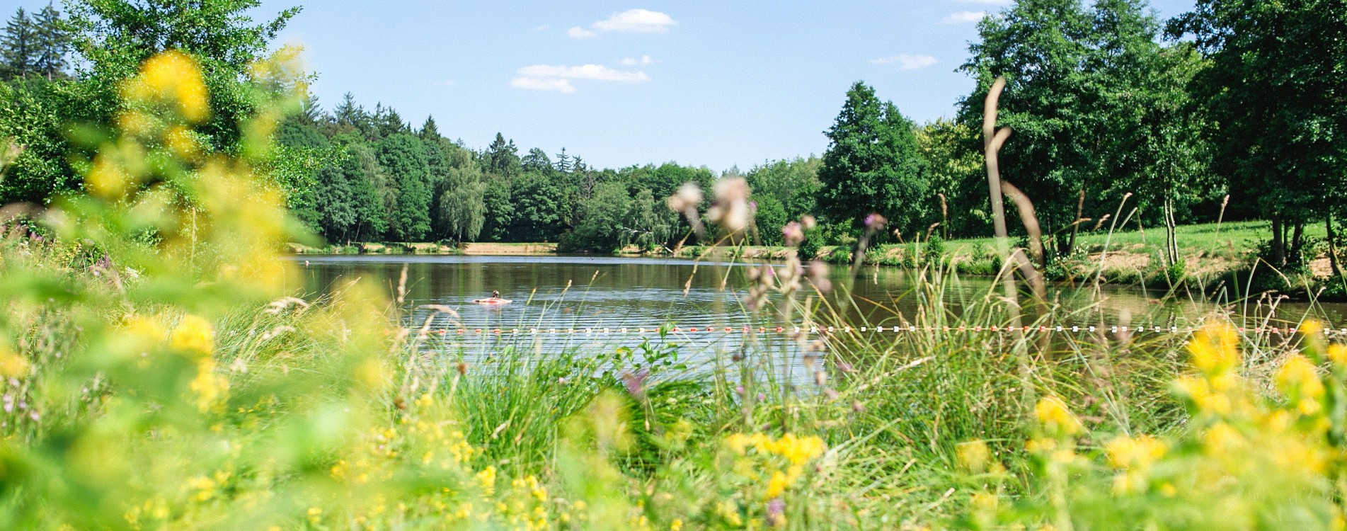 Schnelldorf Erlensee