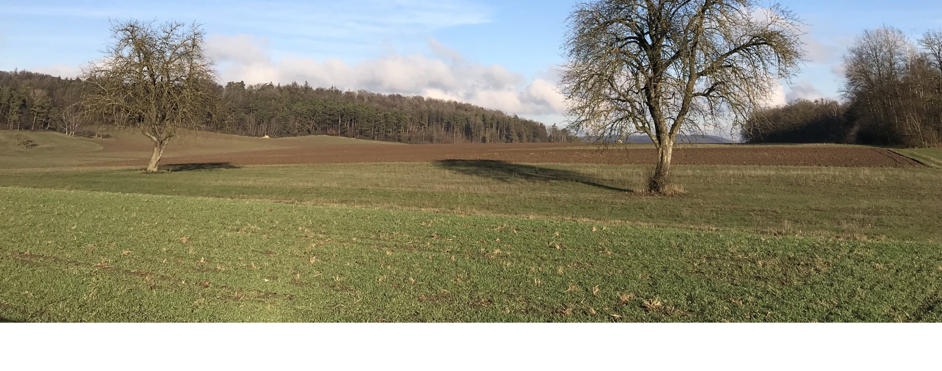 Herbstliche Landschaft